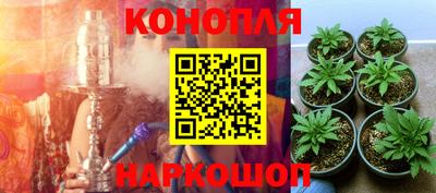 jwh Красноармейск