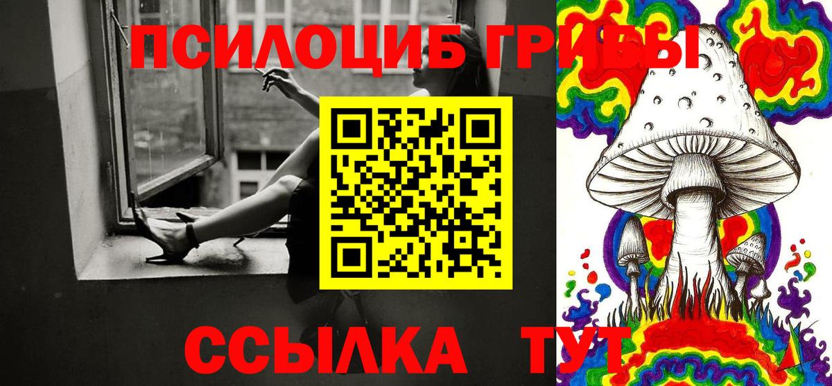 Каменка  Галлюциногенные грибы мицелий  Вход с VPN 
